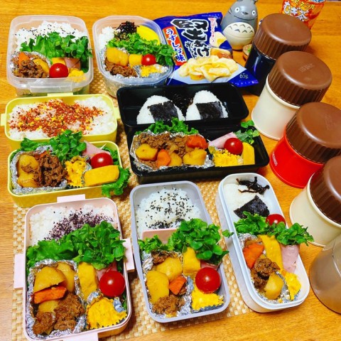 お弁当家族 HAKOYA お弁当箱 スリム二段弁当840 2段 840ml （ 弁当箱 ランチ