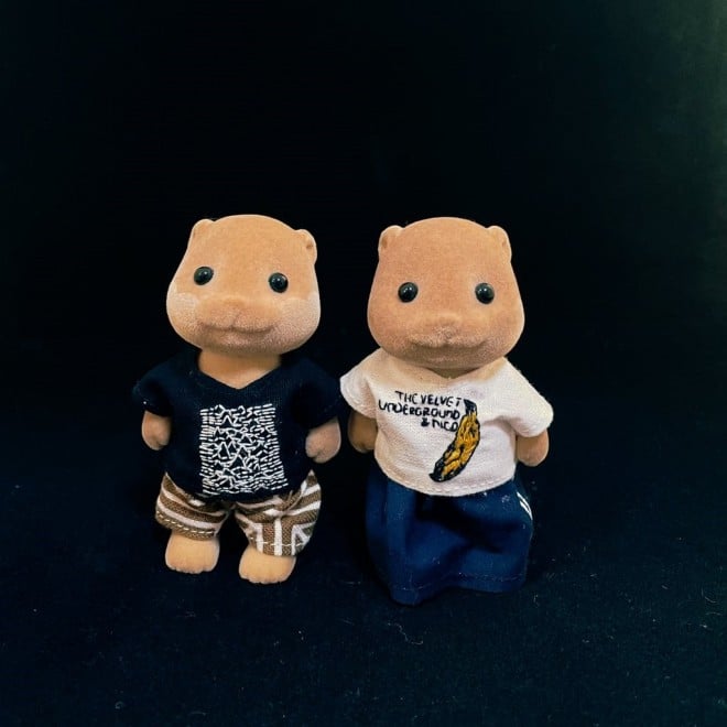 ijuWCfBBWṽoTƁuFxbhA_[OEhṽoTꂳ