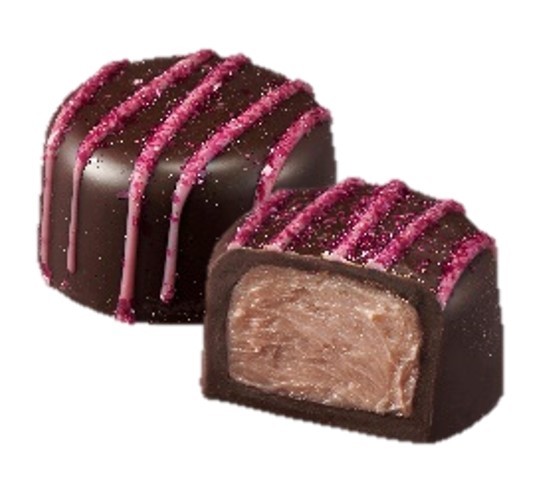 ���藱�w�T���[���[�Y�E���Y�x���[�x