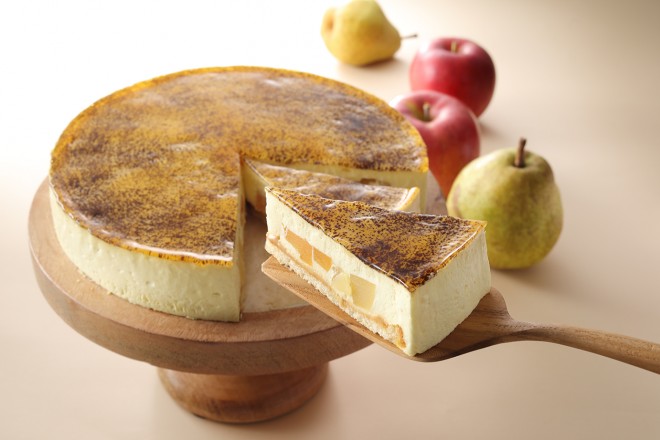 wmƃAbṽJX^[hVu[XgP[Lxiō495j