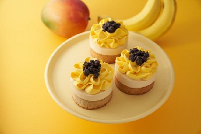 y413z}S[ oiĩt[P[L iō515~j