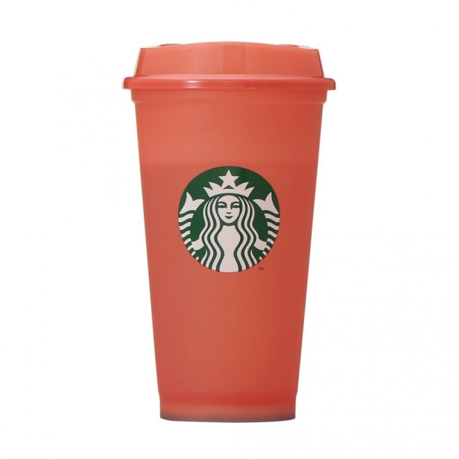 nEB 2022 J[`FWO [UuJbv 473ml i500~jFω