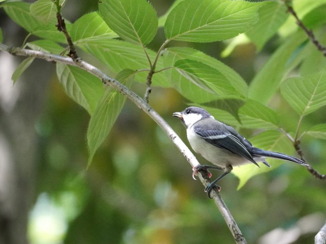 т񂾂Ǒ͂肵Ă#VWEJ