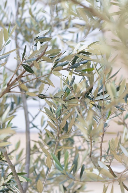 SqɃTEiEt́whotel hisocax