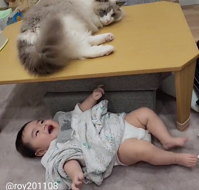 0˂̑qA₵Ă郉Oh[̃C