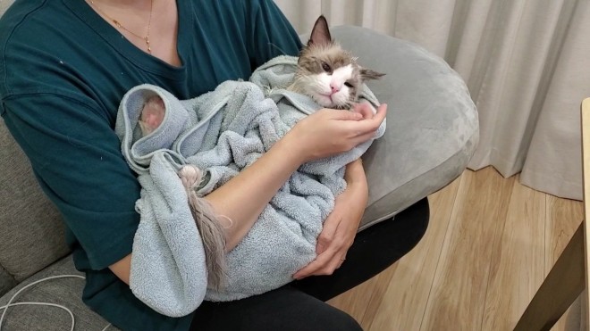 0˂̑qA₵Ă郉Oh[̃C