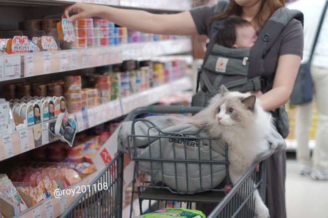 0˂̑qA₵Ă郉Oh[̃C