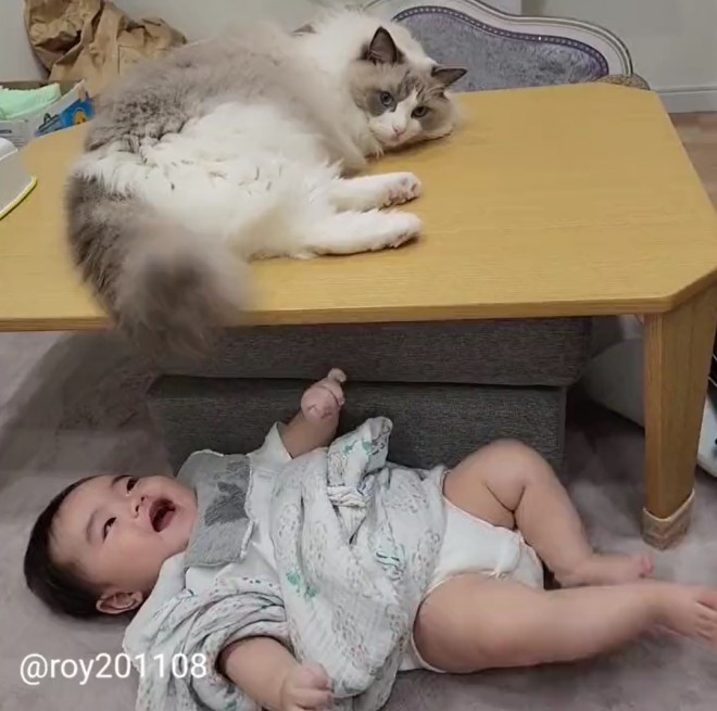 0˂̑qA₵Ă郉Oh[̃C