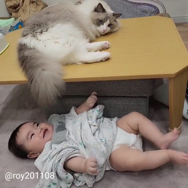 0˂̑qA₵Ă郉Oh[̃C