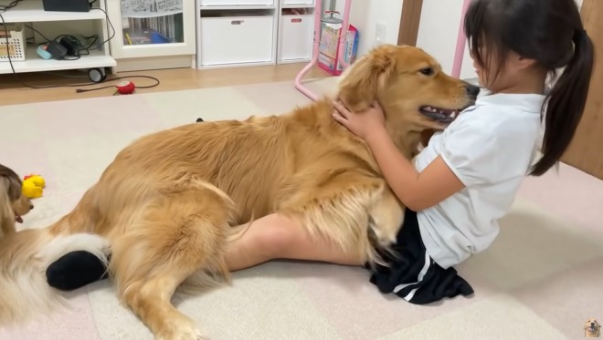 画像・写真 | 【天使キッズ】ゴールデンレトリバー＆ミニチュア