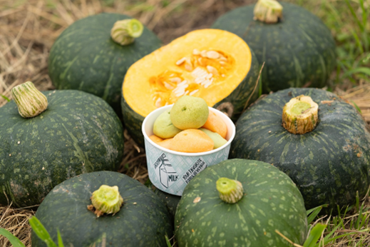 y927zw{[ pvL~NxiA聏363^Xp370j