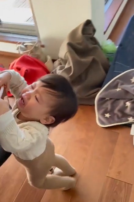 }}ȊO̐ԂĂlqɐ]1˂̑q