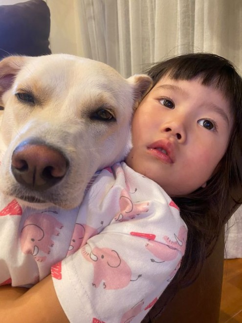 یL2CAی쌢3Cƈꏏɕ炷