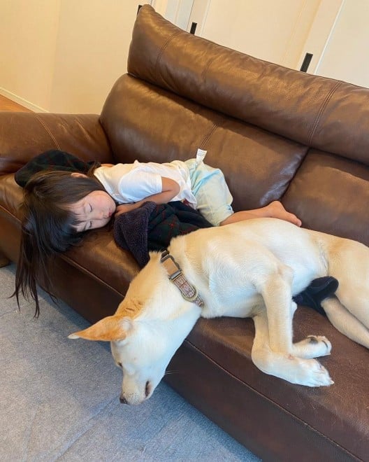 یL2CAی쌢3Cƈꏏɕ炷