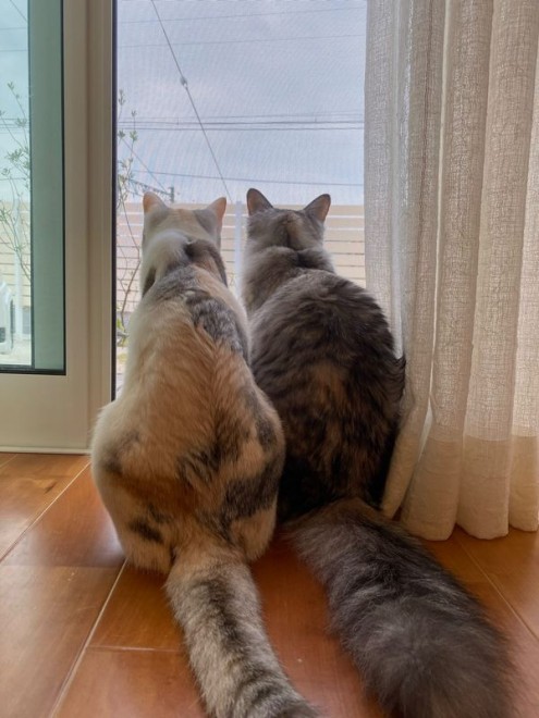 یL2CAی쌢3Cƈꏏɕ炷3oZ