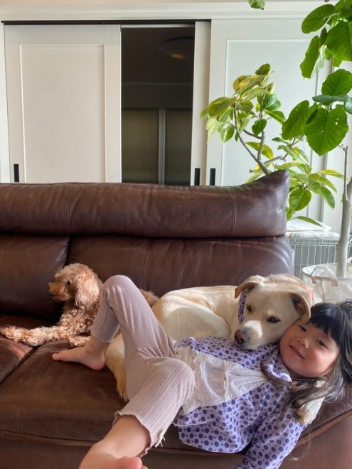 یL2CAی쌢3Cƈꏏɕ炷