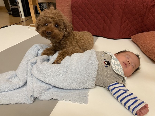 �ӂ��������ǂ�