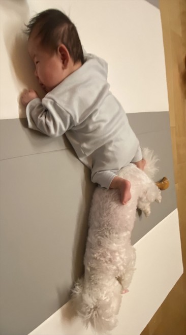 ����4�����̑��q����ɂ������Y���Ă���1�΂̂��ނ������