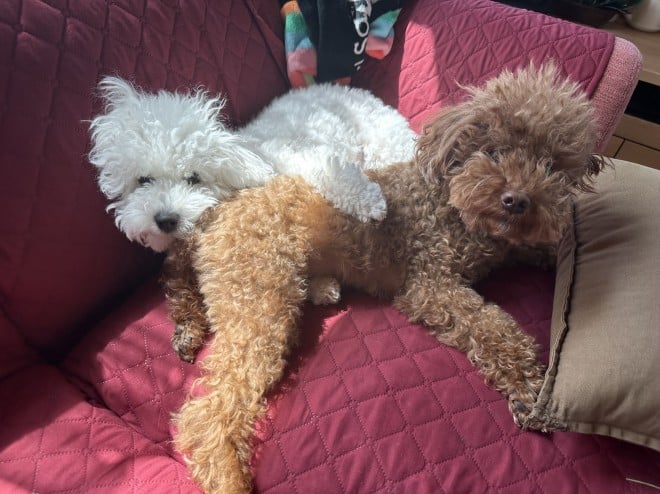 ���ނ������Ɛ�Z���̂ӂ���