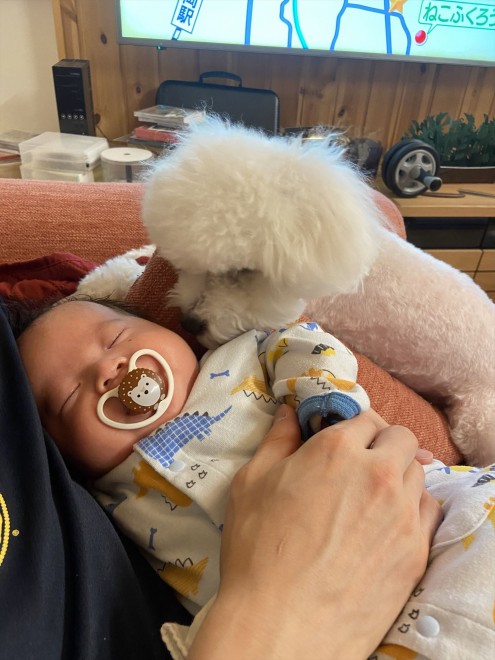 ����4�����̑��q����ɂ������Y���Ă���1�΂̂��ނ������