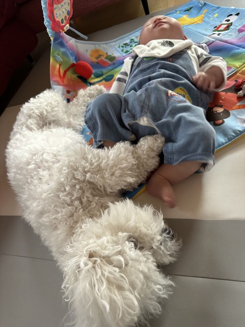 ����4�����̑��q����ɂ������Y���Ă���1�΂̂��ނ������