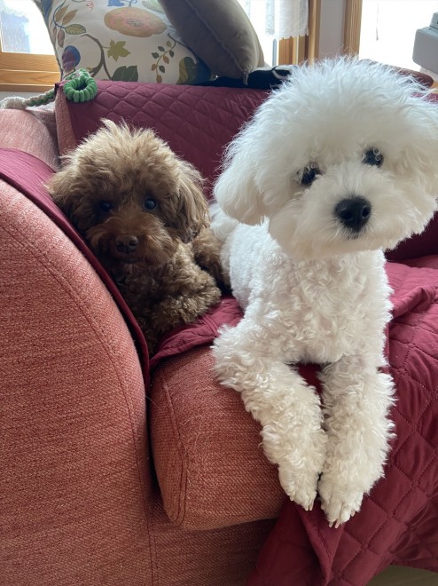 ���ނ������Ɛ�Z���̂ӂ���