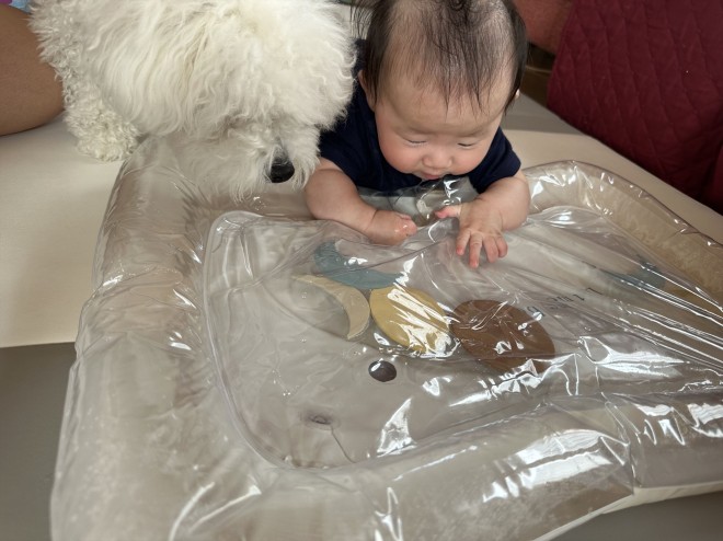 ����4�����̑��q����ɂ������Y���Ă���1�΂̂��ނ������