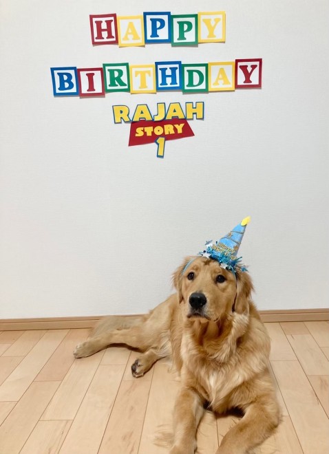 S[fgo[̃W[ƒǂȖ񂽂