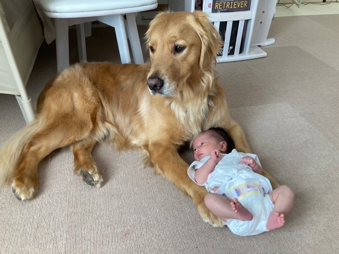 S[fgo[̃W[ƒǂȖ񂽂