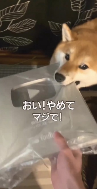 YouTube̋⏂SOȂ?݂R}