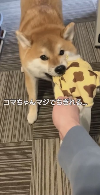 R}̂Cɓ̗VсuLA^bN2023v