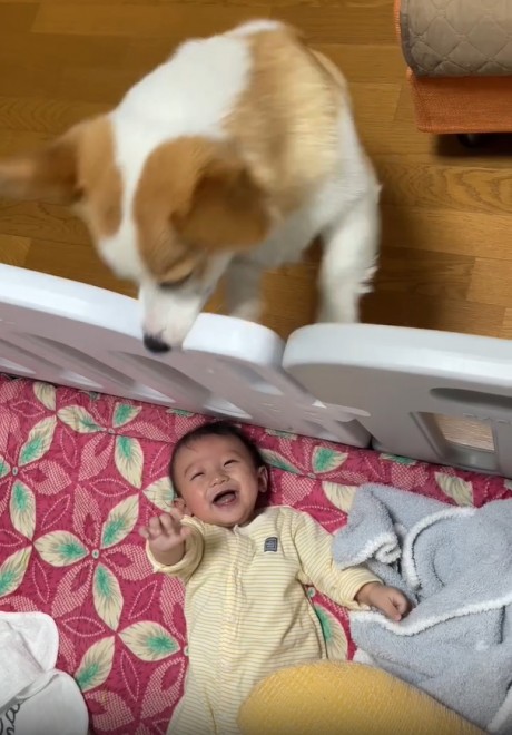 N1΂̃R[M[̂܂邭Ƒq