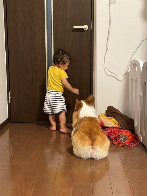 N1΂̃R[M[̂܂邭Ƒq