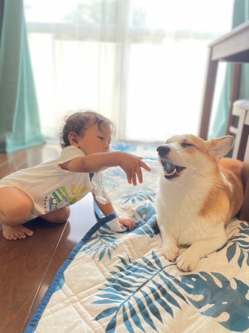 N1΂̃R[M[̂܂邭Ƒq