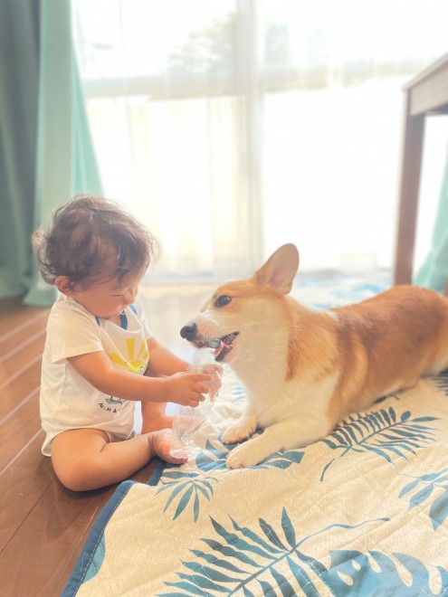 N1΂̃R[M[̂܂邭Ƒq