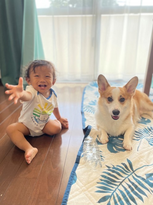 N1΂̃R[M[̂܂邭Ƒq