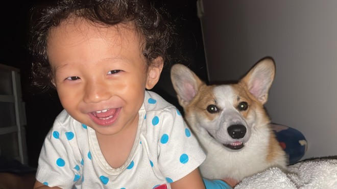 N1΂̃R[M[̂܂邭Ƒq