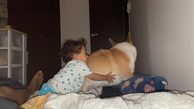 N1΂̃R[M[̂܂邭Ƒq