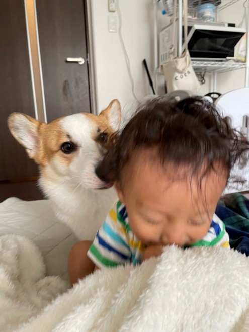 N1΂̃R[M[̂܂邭Ƒq