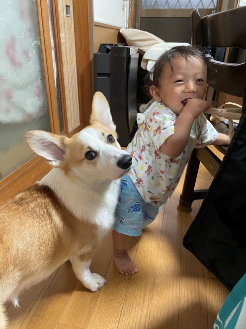 N1΂̃R[M[̂܂邭Ƒq