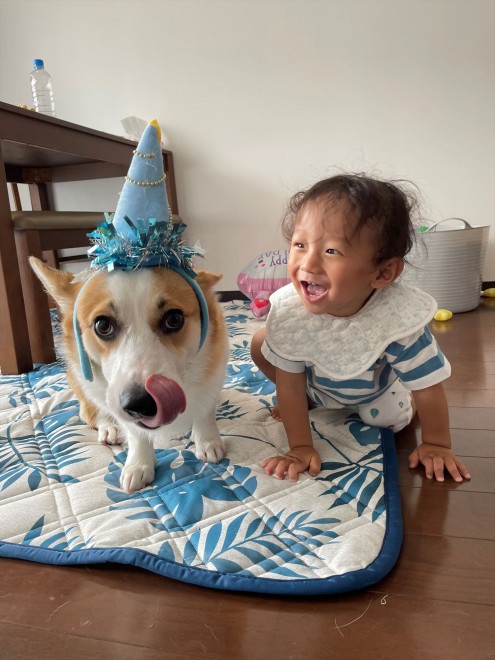 N1΂̃R[M[̂܂邭Ƒq