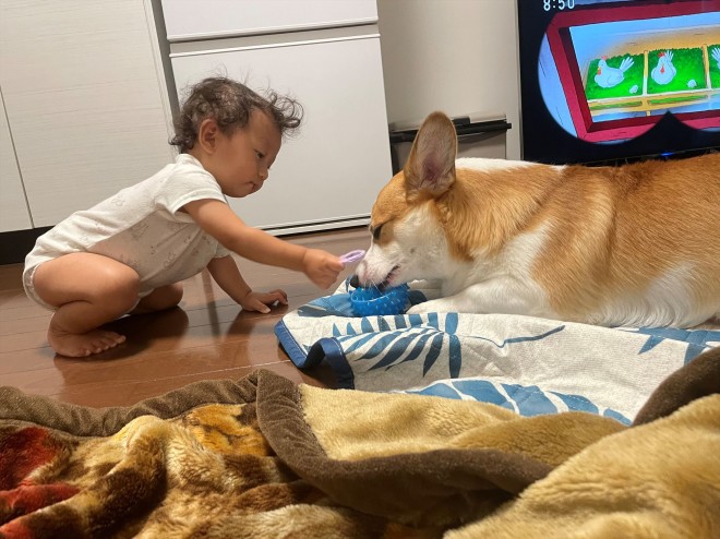 N1΂̃R[M[̂܂邭Ƒq