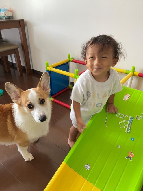 N1΂̃R[M[̂܂邭Ƒq