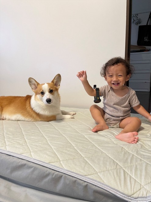 N1΂̃R[M[̂܂邭Ƒq