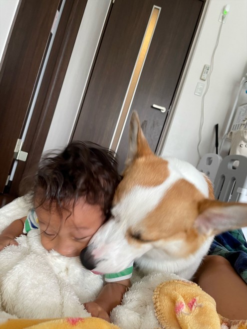 N1΂̃R[M[̂܂邭Ƒq