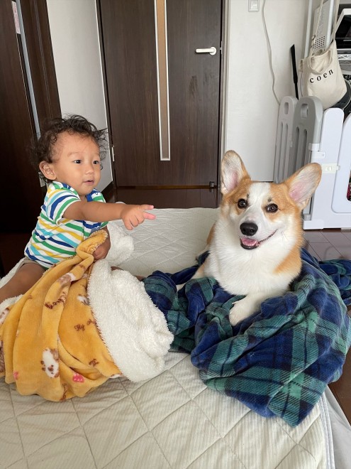 N1΂̃R[M[̂܂邭Ƒq