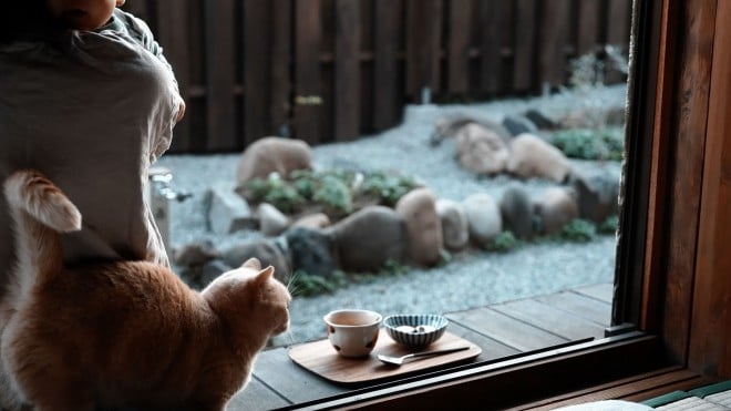 R[M[ƎvĂ悤ŁAuL茢ۂvƂƂƂ