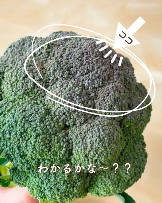 yƎZz؃\GvŊǗh{m̏Zɂ邨ubR[̑Iтi@kasumiii.mmj