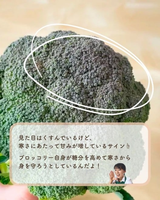 yƎZz؃\GvŊǗh{m̏Zɂ邨ubR[̑Iтi@kasumiii.mmj