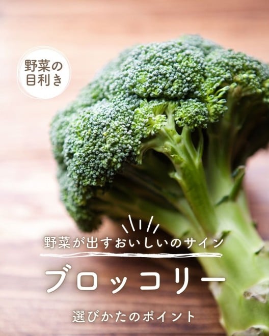 yƎZz؃\GvŊǗh{m̏Zɂ邨ubR[̑Iтi@kasumiii.mmj